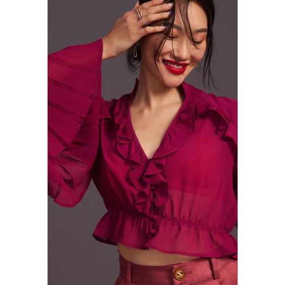 NWT Anthropologie Sheer Blouse - Small - Picture 2 of 6